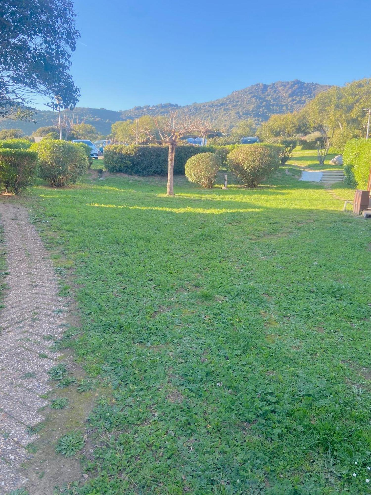 Tres Bel Appartement Les Pieds Dans L'Eau Appietto Bagian luar foto