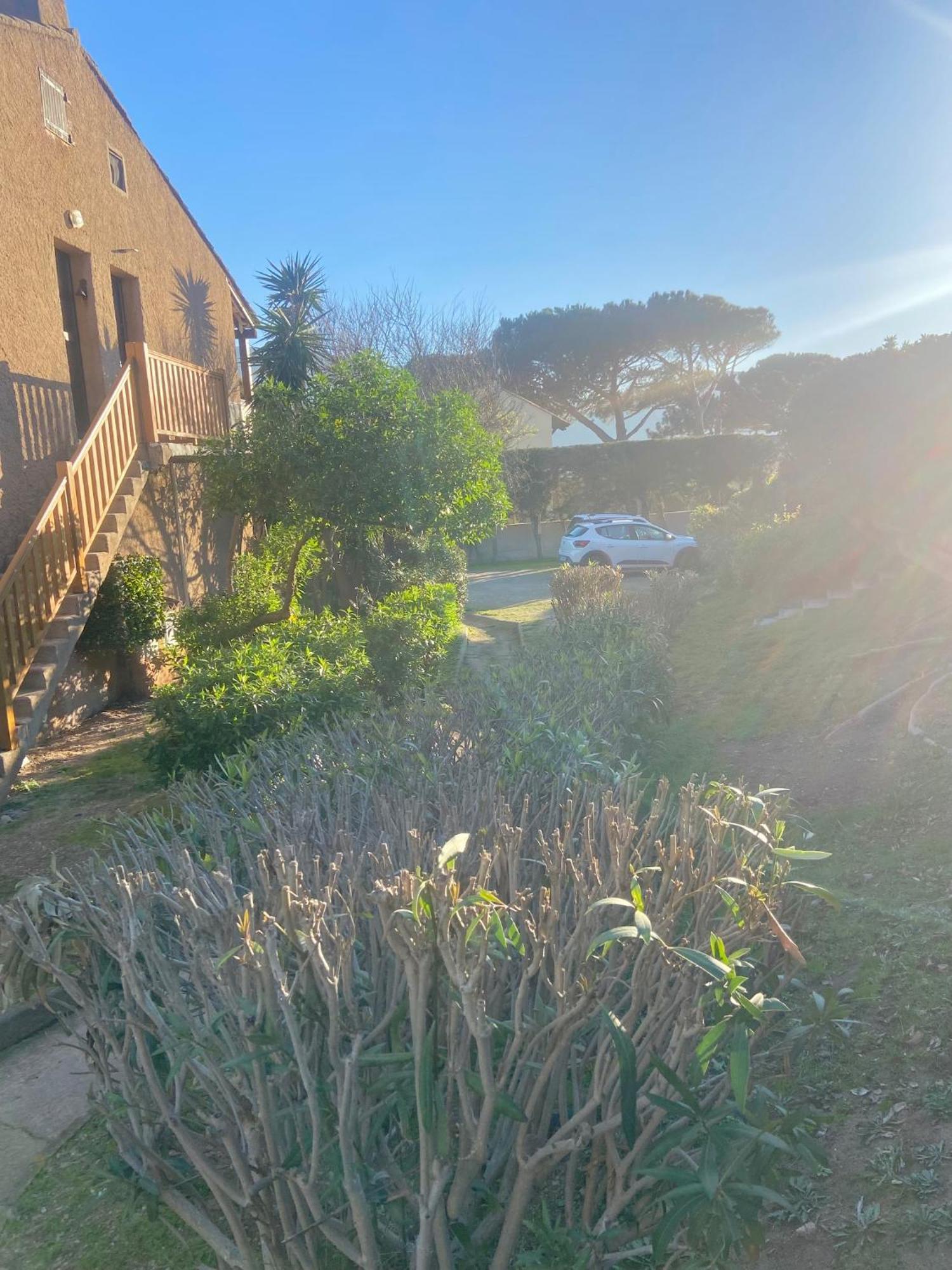 Tres Bel Appartement Les Pieds Dans L'Eau Appietto Bagian luar foto