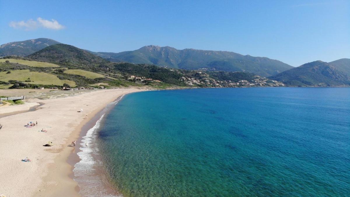 Tres Bel Appartement Les Pieds Dans L'Eau Appietto Bagian luar foto